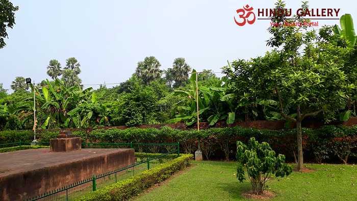 Sri Hanseswari Mandir greenery