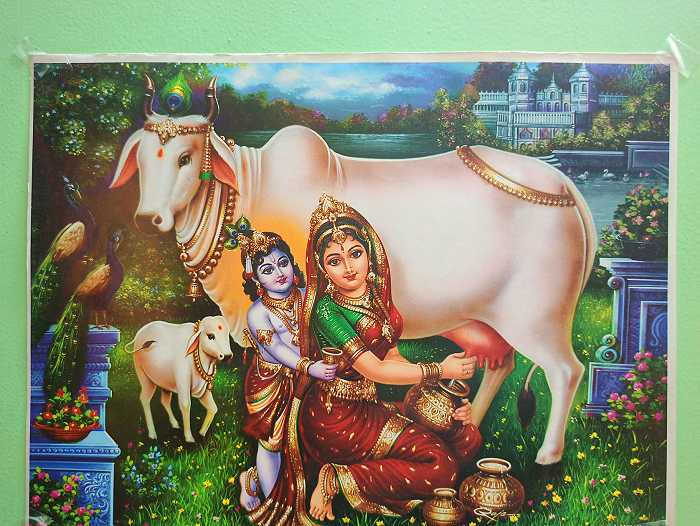 Gopashtami 2021 Greetings & HD Images: WhatsApp Messages, Wallpapers,  Photos, Wishes and SMS for the Auspicious Day | 🙏🏻 LatestLY