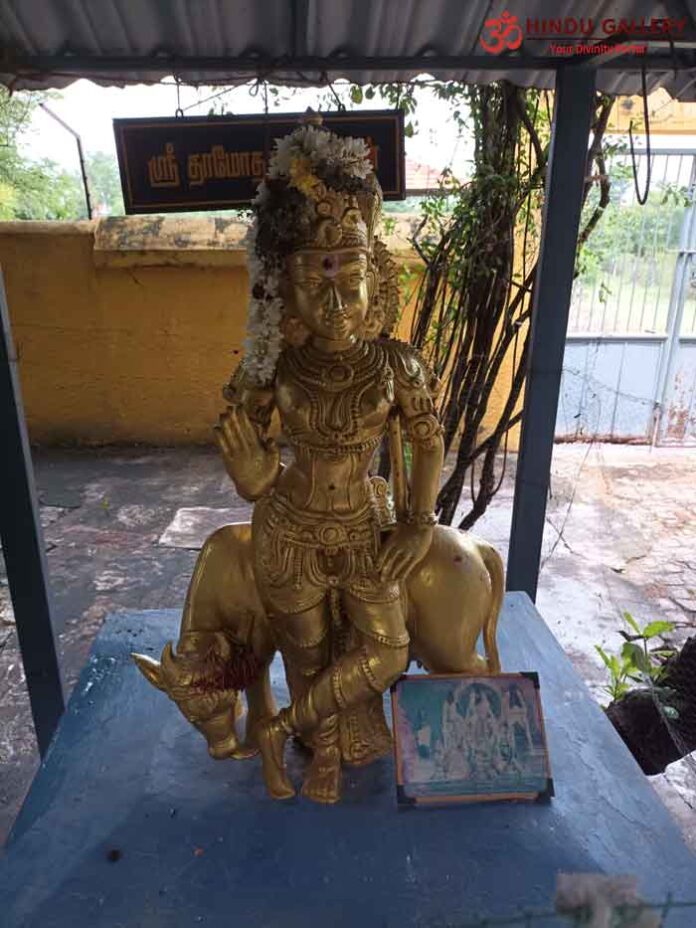 Sri Vaatha Pura Natha Ashtakam