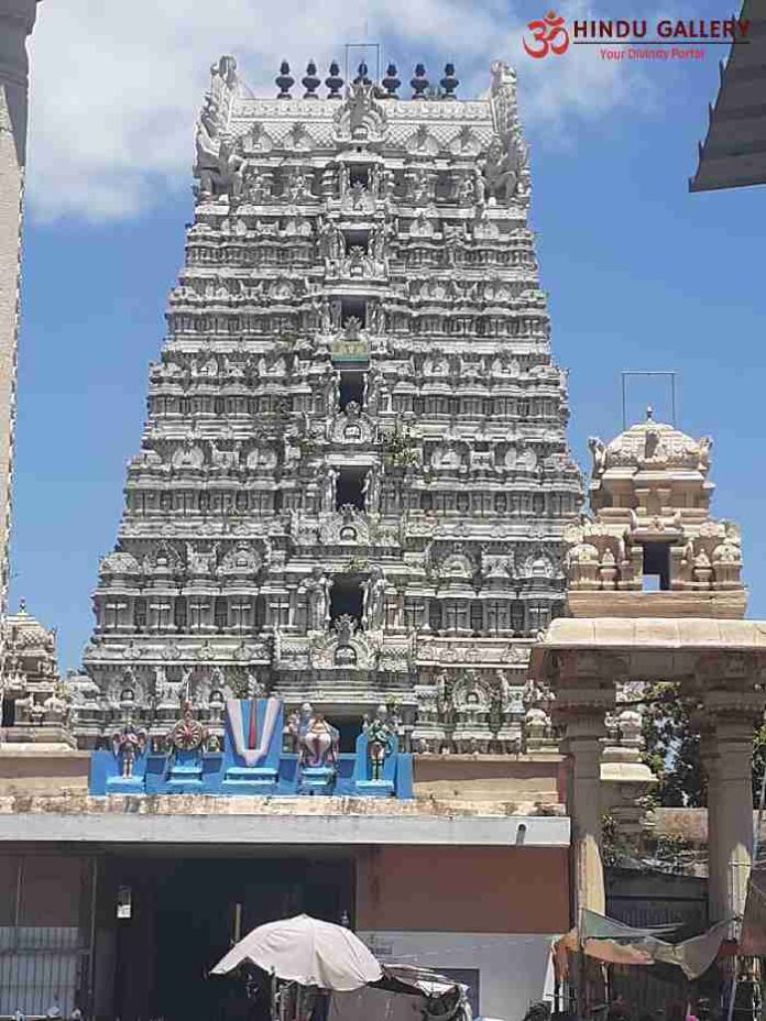 Sri Thrivikrama Swamy Temple Thirukkovilur